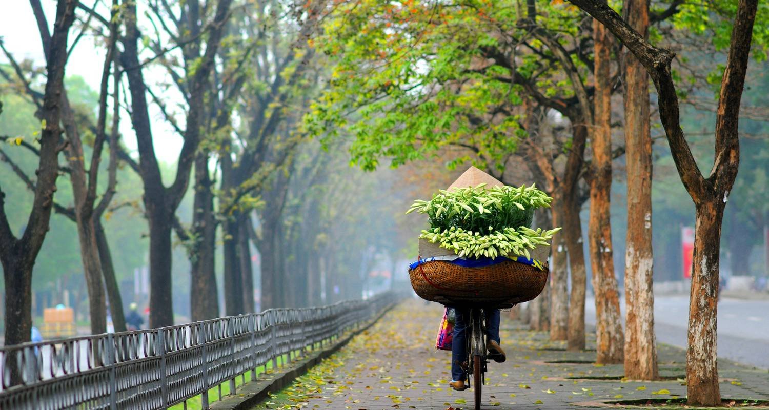 Hanoi City Bike Tour in Early Morning